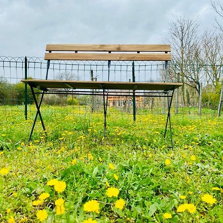 Villa Bubu, Appartamento Country-Chic Róma Kültér fotó