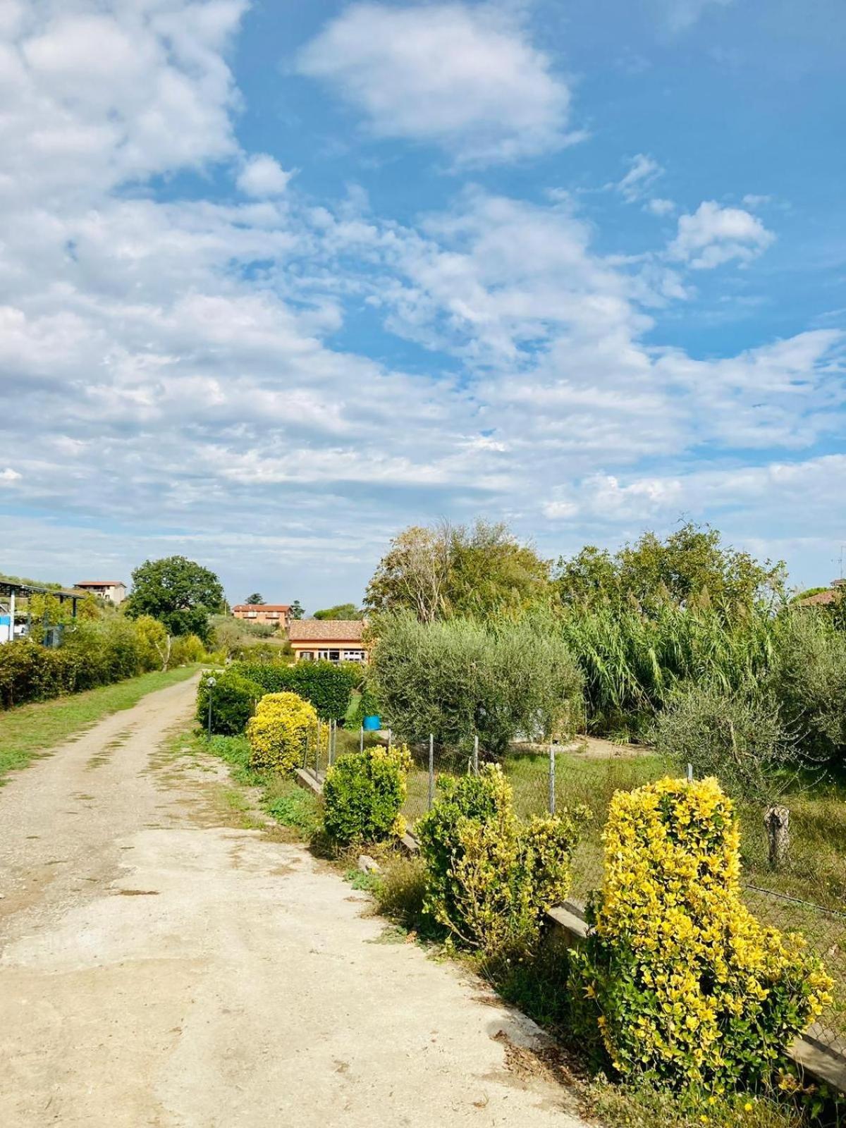 Villa Bubu, Appartamento Country-Chic Róma Kültér fotó