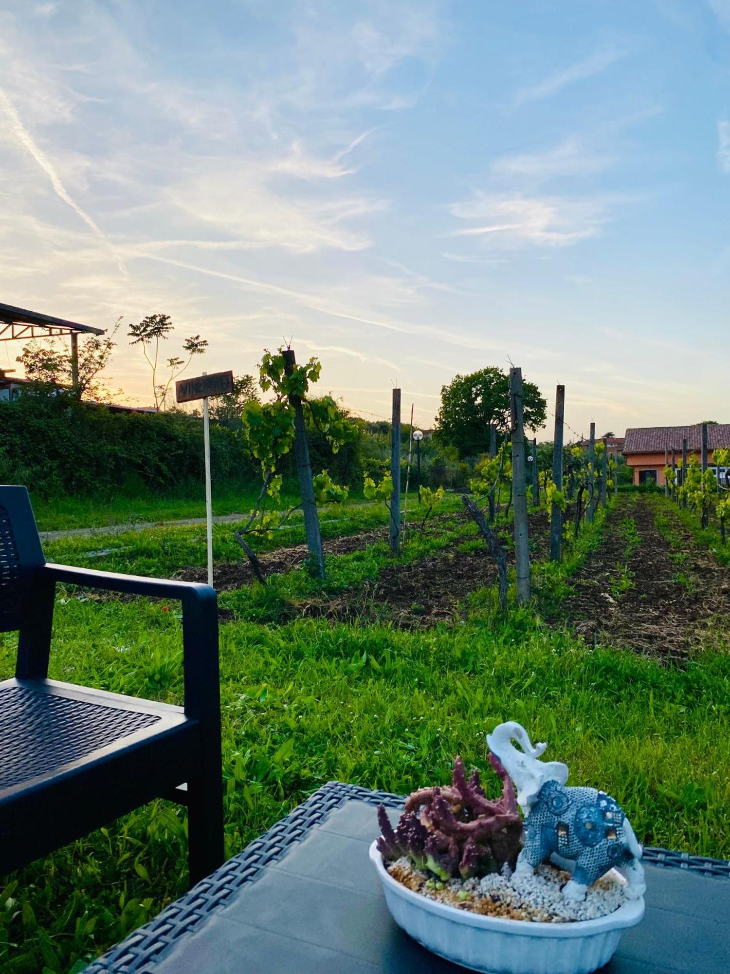 Villa Bubu, Appartamento Country-Chic Róma Kültér fotó